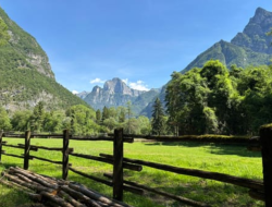 Parco Nazionale delle Dolomiti Bellunesi