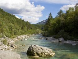 torrente resia