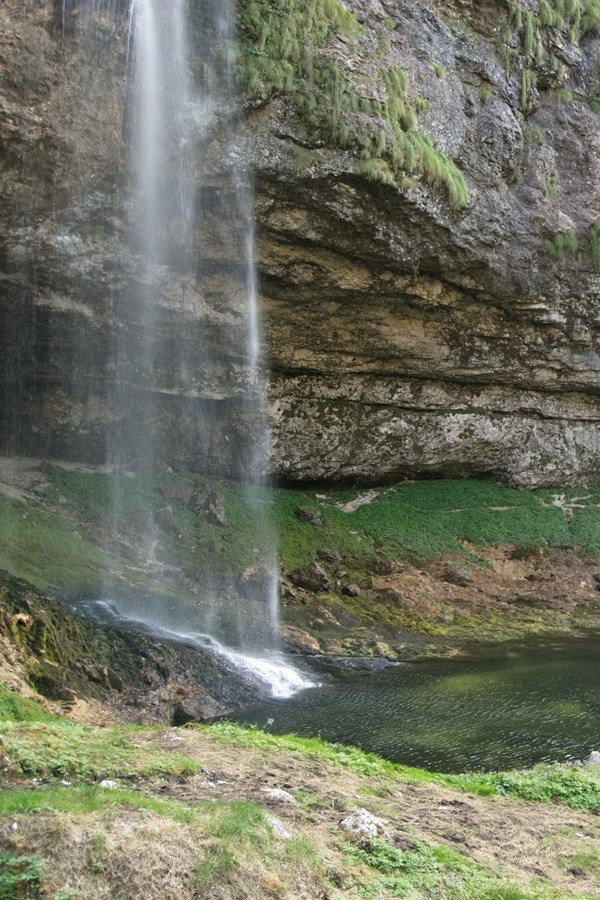 fontanon V