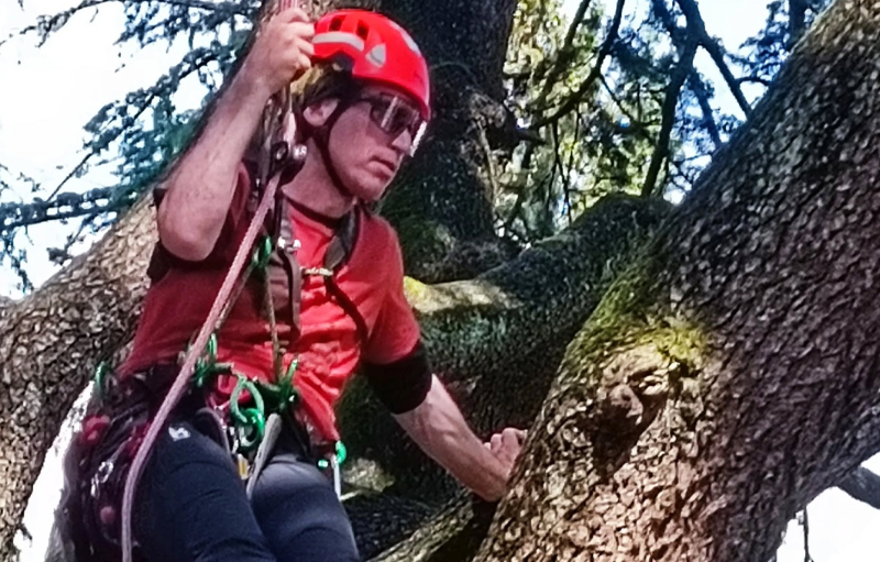 James Kilpatrick nel corso di Formazione Alberi organizzato da Simone Poggi in Italia
