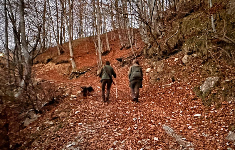 Autunno in Antola