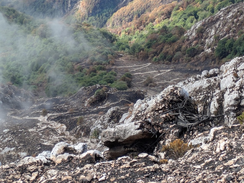 incendio amariana