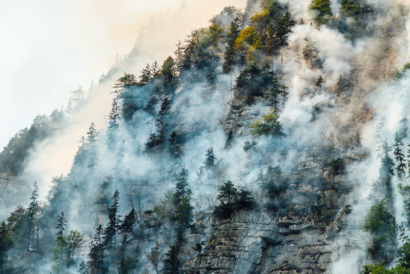incendio monte