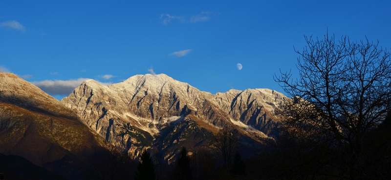 monte canin