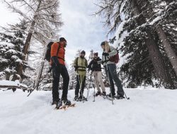 CMP stagione winter 2026