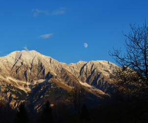monte canin